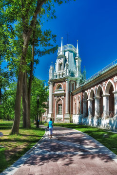 Фрагмент дворца Екатерины в Москве в парке Царицыно
