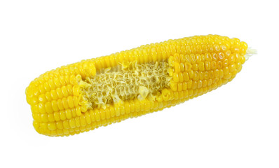 Grilled corn isolate on a white background