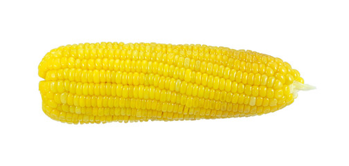 Grilled corn isolate on a white background