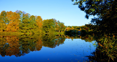 Осень на Буяновском озере