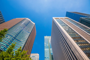 Street tree and Office Buildings