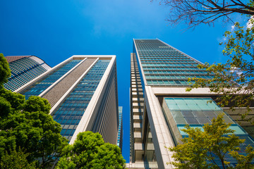 Street tree and Office Buildings