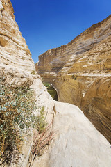 landscape rocky canyon