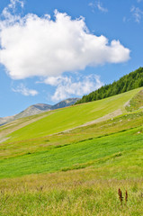 Hills and sky