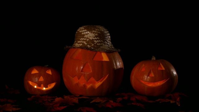 Hellowen pumpkin group