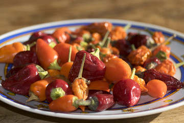 calabrese hot peppers