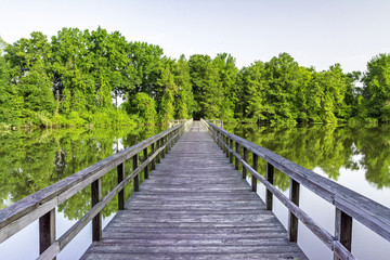Fototapeta na wymiar Pond in Alabama and wooden foot bridge