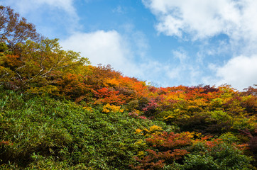Obraz premium fallscape of mountain