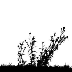 Vector silhouette of nature.