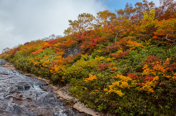 fallscape of mountain