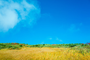 fallscape of mountain