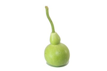 Calabash, Bottle Gourd