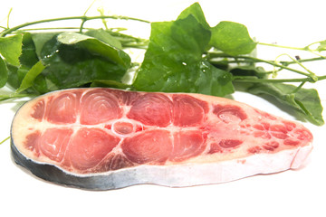 Fish isolated on white background