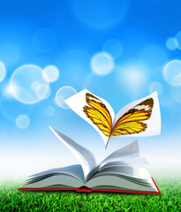 butterfly book