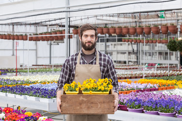Florist Carrying flowers In a Tray - 71162600