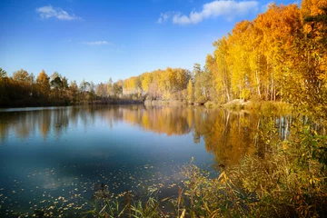 Aluminium Prints Autumn Autumn in Siberia, beautiful landscape