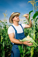 Farmer inspecting corn plant in field