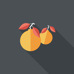 Chinese New Year Mandarin Oranges flat icon wtih long shadow,eps
