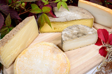 different french cheeses produced in the Alps mountains