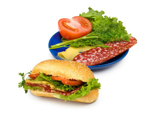 sandwich on a white background