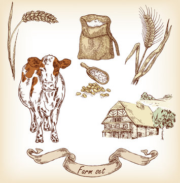 Farm set. Hand drawn illustration of cow, house, grain, wheat