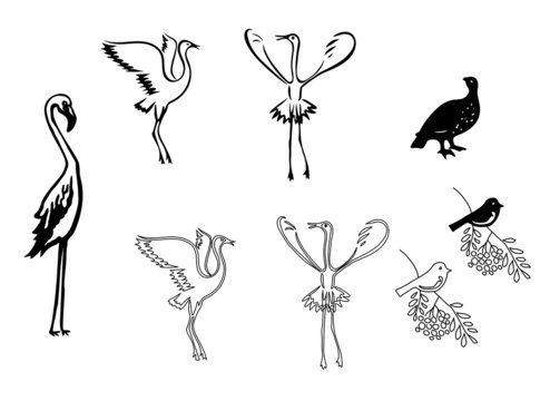 silhouettes of birds - vector set
