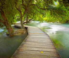 Boardwalk in the park