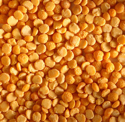 Yellow dry peas