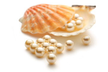 White pearls in seashell