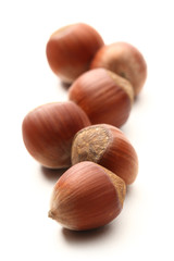 Fresh hazelnuts