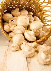 mushrooms in a basket on the table