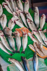 Fish market & Seafood: Istanbul, Bosphorus