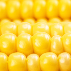 Corn