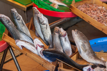 Fish market & Seafood: Istanbul, Bosphorus