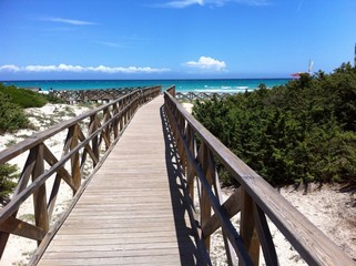 Obraz premium Holzsteg zum Strand 