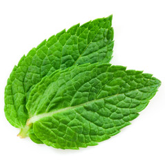 Fresh mint