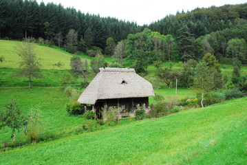 Fototapeta na wymiar Typisches Schwarzwaldhaus