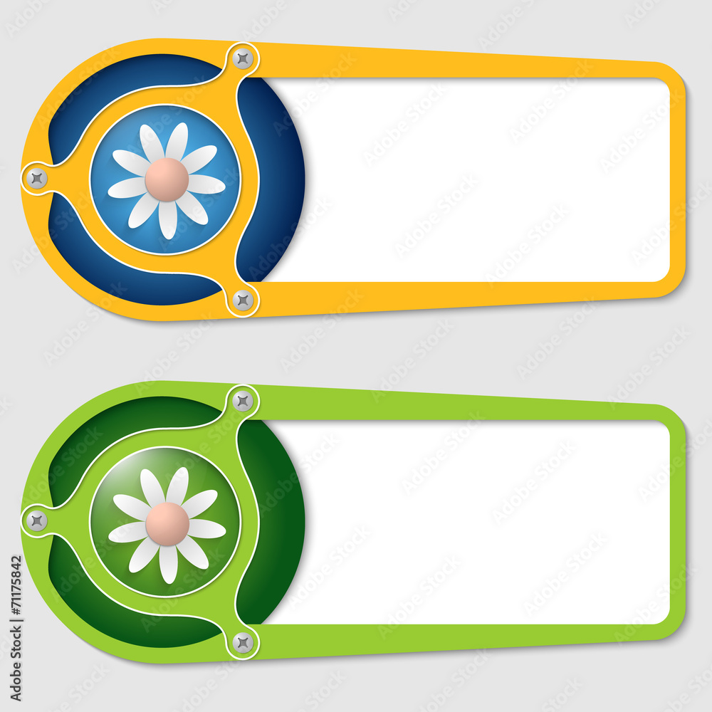 Poster set of two boxes for entering text with flower
