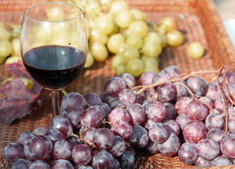 glass of red wine with grapes in autumn