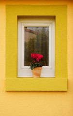 Kleines PVC Fenster in renovierter Fassade mit Blumenschmuck