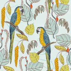 Papier peint Perroquet perroquet