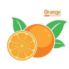 Orange vector