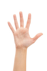 Open woman hand or number five