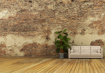 old wall and plant sofa