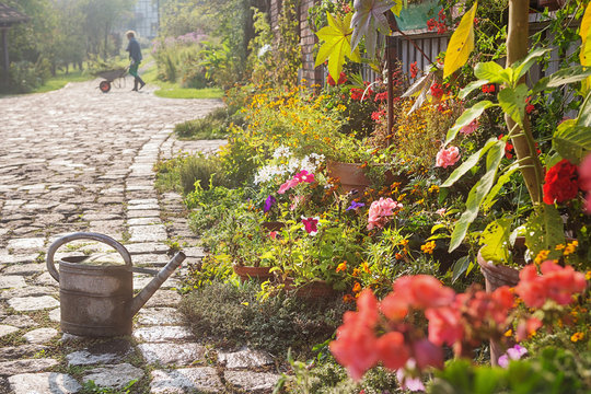 Blooming flowers in front of a facade