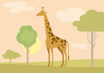 Flat design cartoon vector wild animals giraffe savanna