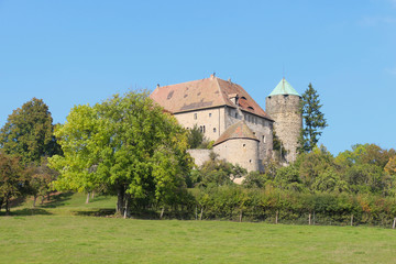 Fototapeta na wymiar Burg Colmberg