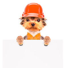 dog  dressed as builder with banner