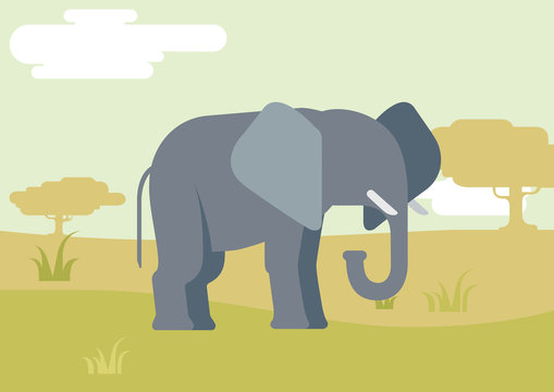 Elephant savanna flat design cartoon vector wild animals