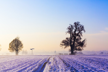 Winterlandschaft